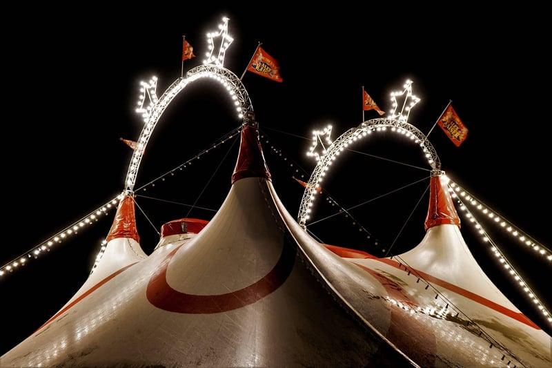 Carnival Extravaganza